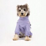 IMPERMEABLE AJUSTABLE PARA PERROS